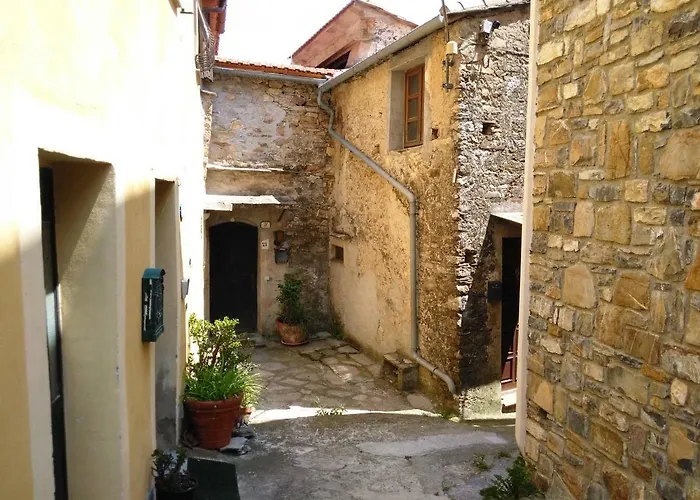 Old Oilmill Near